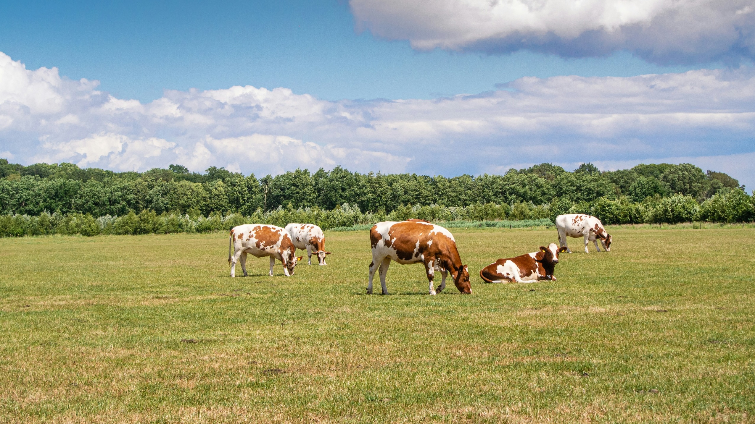 landbouw nitraat waterkwaliteit RIVM